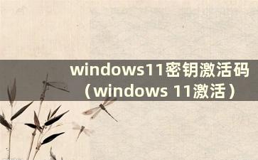 windows11密钥激活码（windows 11激活）